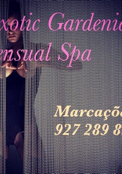 Sexual massage Porto Torres