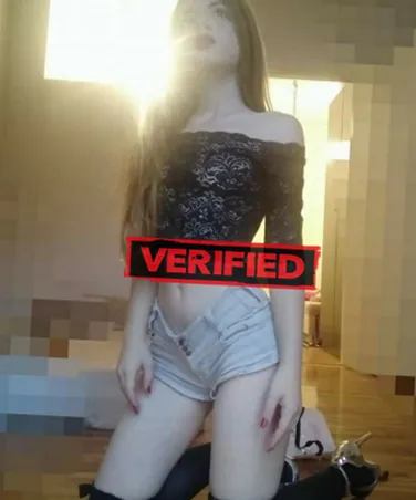 Charlotte pussy Prostitute Vadso