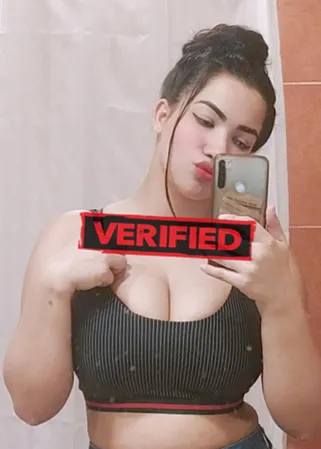 Adelaide sexy Prostitute Novo Cruzeiro