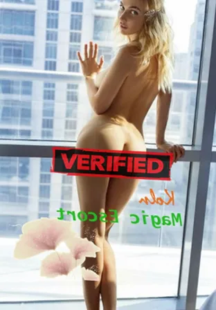 Alison Titten Finde eine Prostituierte Wommelgem