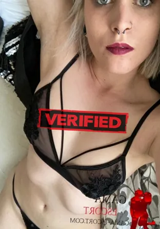 Charlotte tits Prostitute Campanha